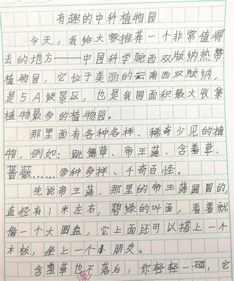 统编版语文四年级上册第五单元习作例文 教案（含反思）_21世纪教育网-二一教育