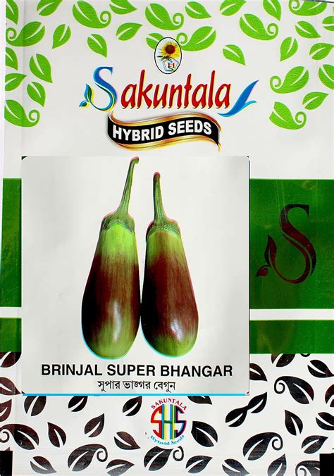 Sakuntala Hybrid Seeds Fresh Brinjal Seeds Super Bhangar Brinjal Seeds ...