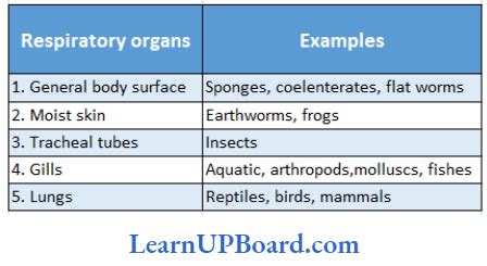Image result for SQL NoSQL Databases