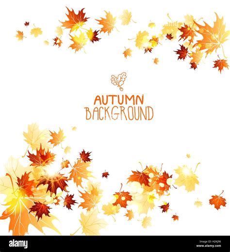 Maple leaves background Stock Vector Image & Art - Alamy