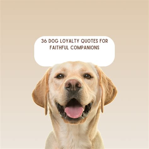 Loyal Dog Quotes