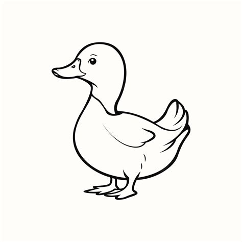 Premium Vector | Duck coloring page outline for kids