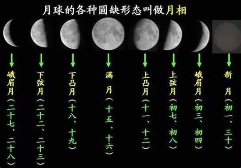Image result for Alien Compass