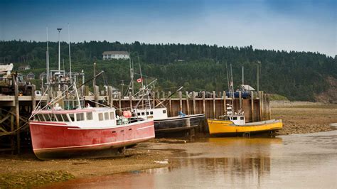 What Is a Slack Tide? Definition and Significance Guide