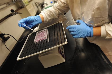 Biomedical Engineering Research 的图像结果