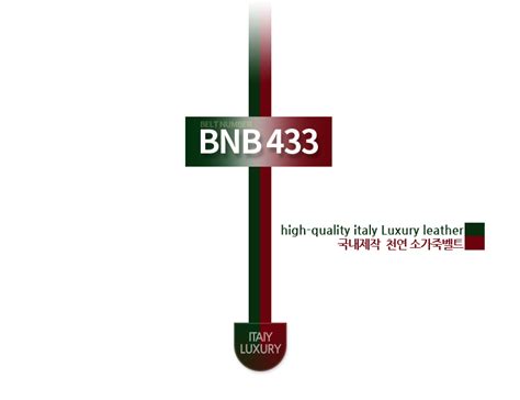 bnb461c1.jpg