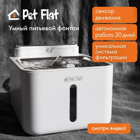 Автокормушки и автопоилки для кошек Pet Flat (Пет Флат) – купить на ...