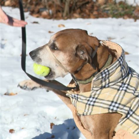 TV Listings | Portland 6.1 - 6.6 | Bangor 2.1 - 2.8 | newscentermaine.com