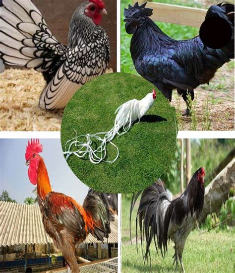 Image result for How to Create a 2D Array in Python