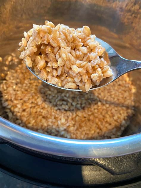 Instant Pot Farro – Melanie Cooks