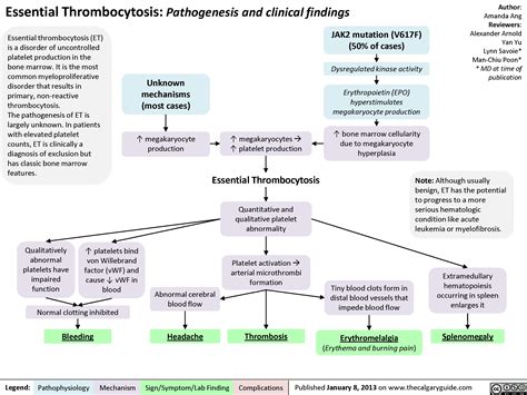 Essential Thrombocytosis (ET) | Calgary Guide
