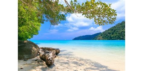 Villa Moon Jamaica 2024, Jamaica, Ocho Rios, 14 March to 19 March ...