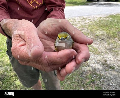 Helping hands hi-res stock photography and images - Alamy