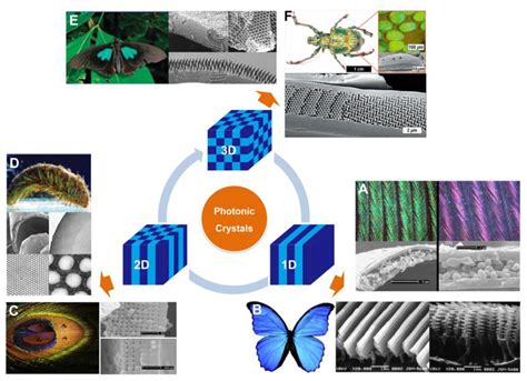 Photonic Crystal Structures with Tunable Structure Color as ...