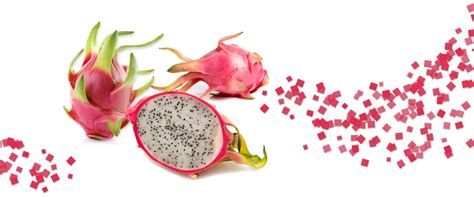 Dragon Fruit