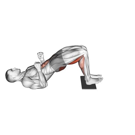 Hamstring Curl Without Machine