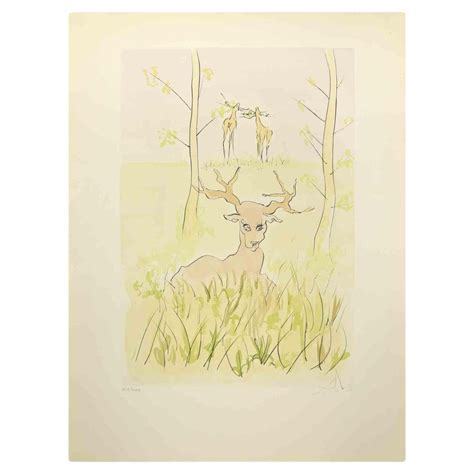 Salvador Dalí, The Sick Stag, Etching, 1974 | Chairish
