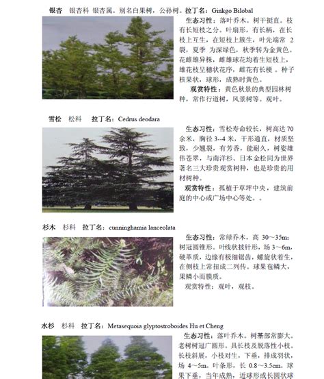 植物名录表免费下载 - 园林景观素材 - 土木工程网