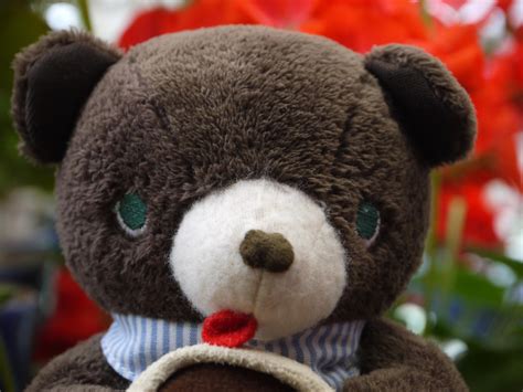 整隻泰迪熊實在太療癒！韓國推出超Q的泰迪熊Airpods保護套，價格竟然還佛到哭～