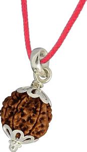 Fine Creation 5 Mukhi Rudraksha Five face Panchmukhi Rudraksha Nepali ...