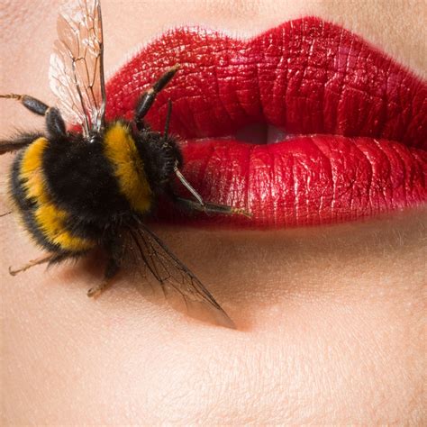 Bee Venom: The Acne-Busting Ingredient You Don