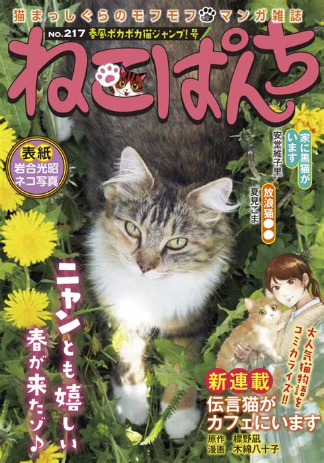 Image result for JRE Java Panel De Control