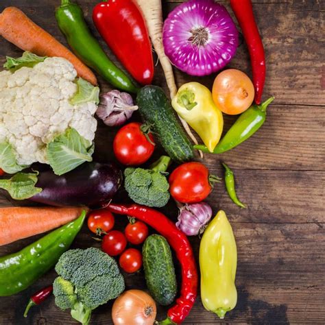 "ctuit radar login guide" | Restaurant365