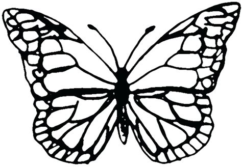 Outline Of Butterfly For Colouring at genkhariblog Blog