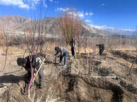 National Institute Of Sowa Rigpa (NISR)