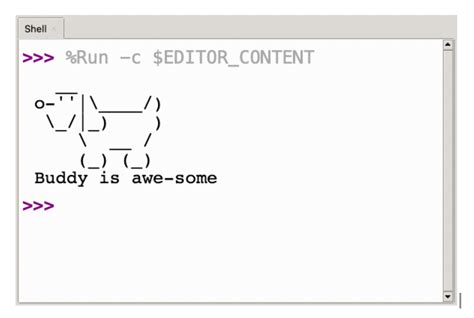 Image result for Writing Python Code