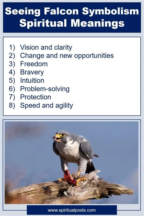 12 Spiritual Meanings of Falcon & Symbolism: Good Luck! - Spiritual Posts