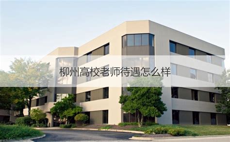 柳州高中一般学校老师工资多少 公立学校老师工资【桂聘】