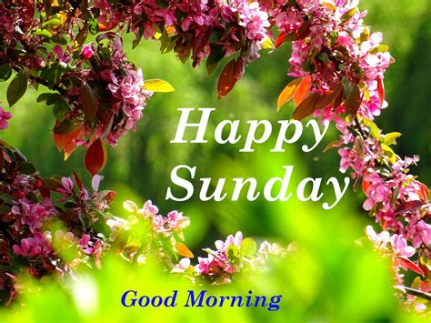 Top 10 Happy Sunday Good Morning Images, Greetings, Pictures Whatsapp ...