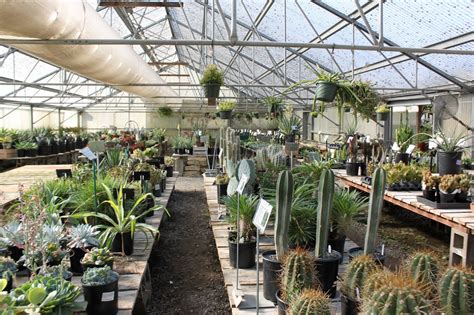 Half Moon Bay Nursery