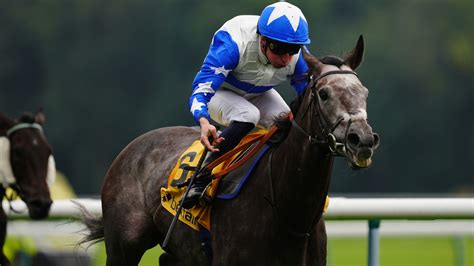 November Handicap: Comprehensive guide to the season's competitive ...