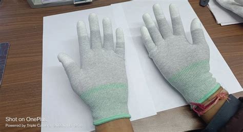 Hand Gloves - Anti Static Lint Free Gloves Manufacturer from Noida