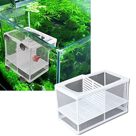 Fish Bowl & Breeding Tanks – PetzLifeWorld