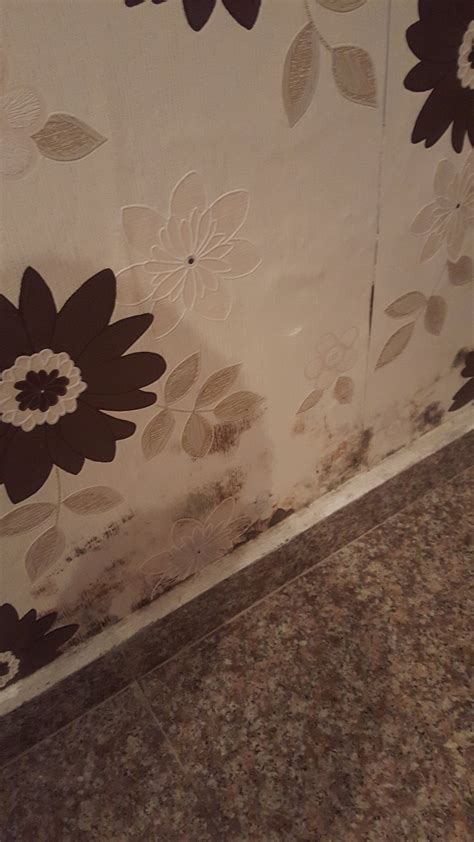 RHC ROYAL HOTEL (Oradea) - Hotel Reviews, Photos, Rate Comparison ...