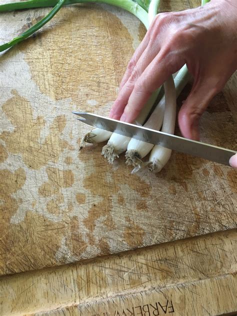 How to Keep Green Onions Fresh for Weeks - Under the Median