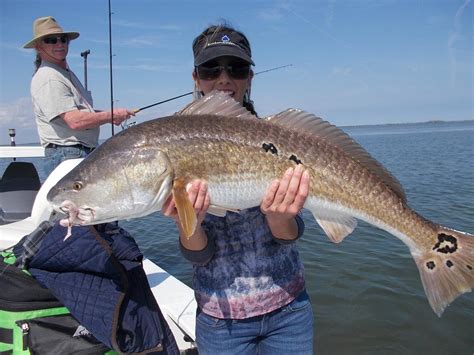 Tug of War Charters, Oak Hill - Tripadvisor