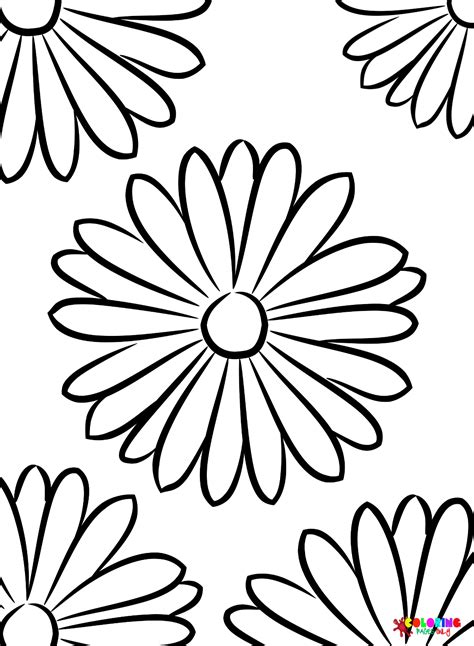 Daisy Flower Coloring Pages Printable