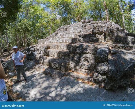 Archaeological Site: El Mirador, the Cradle of Mayan Civilization and ...