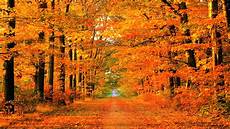 Fall Computer Wallpaper Backgrounds by Fall Wallpapers Hd Pixelstalk Net Fall Computer Wallpaper Backgrounds