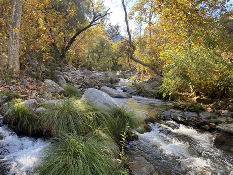 Tule River Indian Tribe of California – Tamalpais Trust