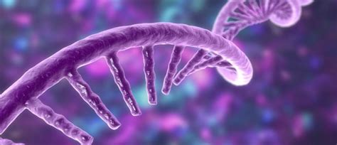 Molecular Biology 的图像结果