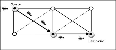 Image result for Stretched String Experiment Bridge