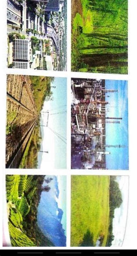 Identify the types of land use pattern shown in the pictures given ...