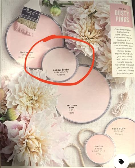 The Best Pale Pink Paint at Ava Ewers blog