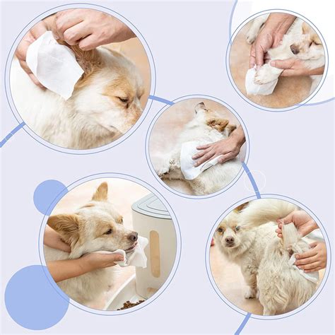 Meow Mates Pet Wipes (80+4pcs) - Unscented | SMBG B2B Website