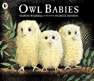 Image result for Owl Babies Book Cover